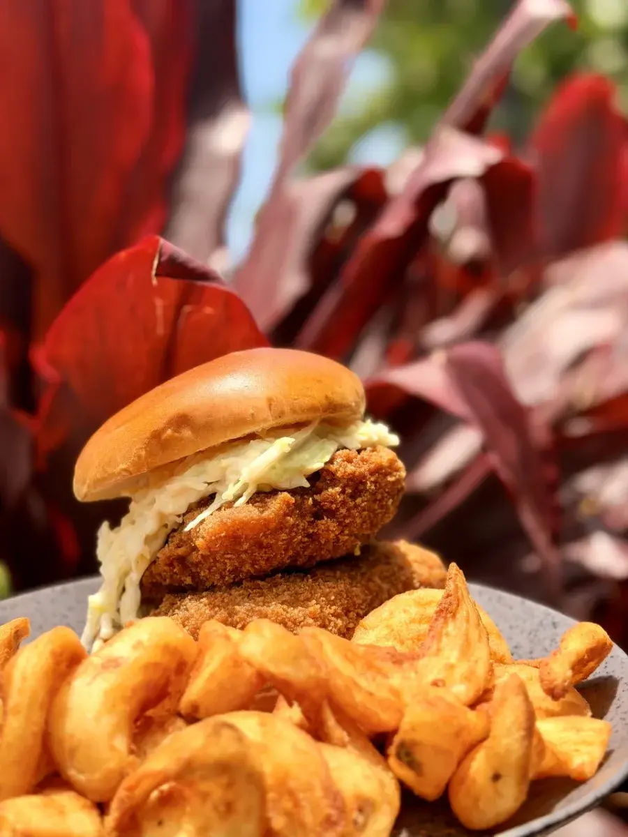 The Umekes ahi belly sandwich with curly fries