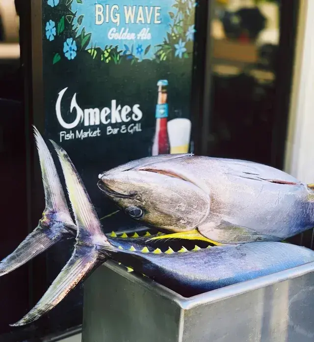 Fresh caught fish at the Umekes fish market counter in Kailua-Kona